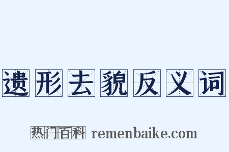 遗形去貌反义词是什么意思的图片